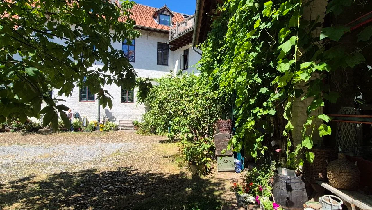 Blick über den Innenhof mit Weinreben und rustikalen Details