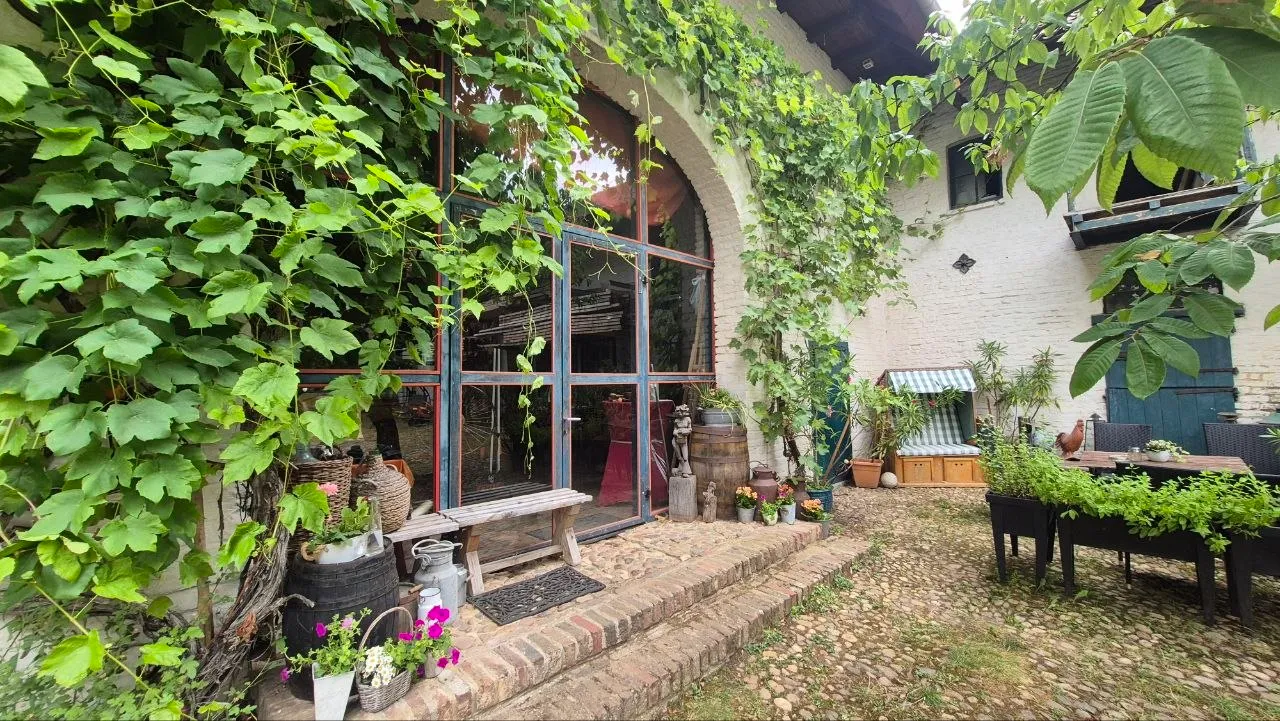 Lauschiger Sitzplatz im Innenhof mit Weinlaub und Strandkorb